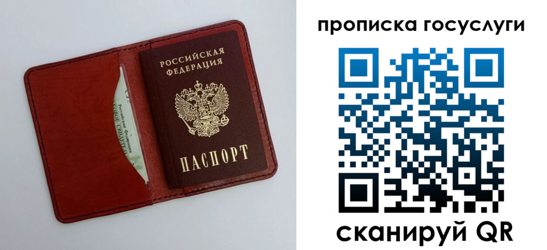 прописка паспорт в Ленинградской области